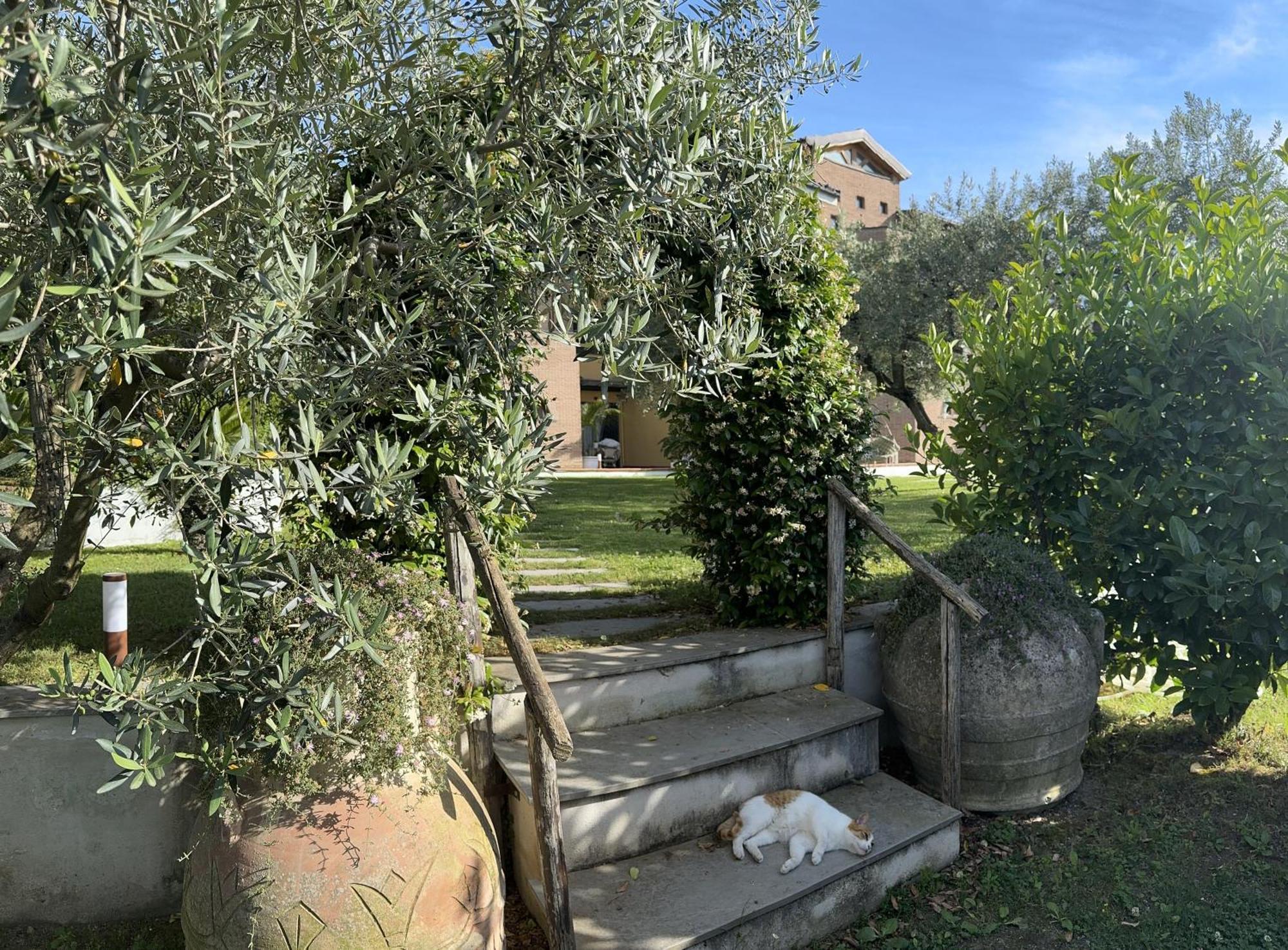Villa C Luxury Estate SantʼAntonio Abate Εξωτερικό φωτογραφία