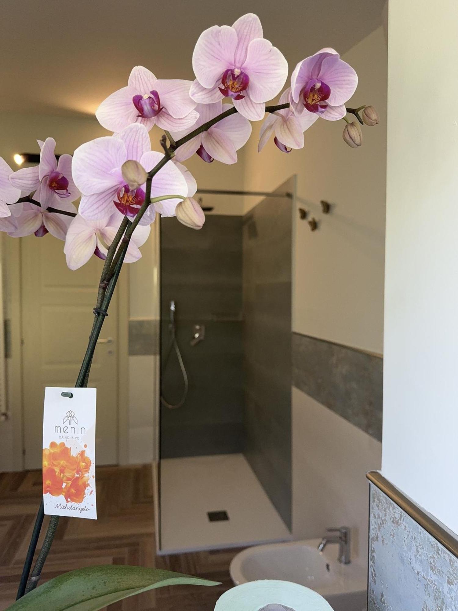 Villa C Luxury Estate SantʼAntonio Abate Δωμάτιο φωτογραφία